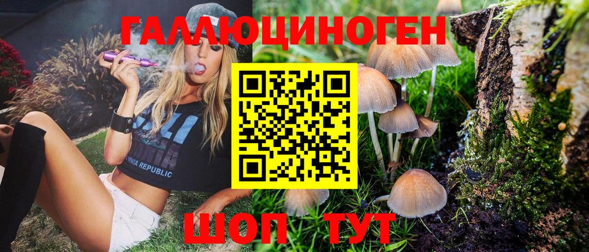 Псилоцибиновые грибы Psilocybe Югорск