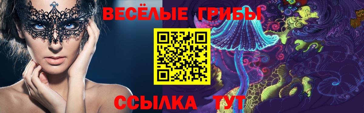 Югорск  Псилоцибиновые грибы мицелий  Вход с VPN  Псилоцибиновые грибы прущие грибы 